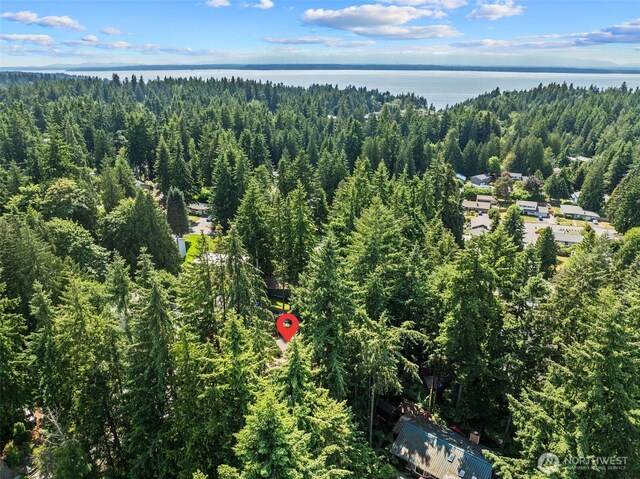 5629 146th St SW, Edmonds, WA 98026 - view of property location featuring a forest and a large body of water