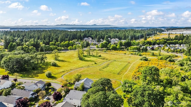 2143 Hammond Ave Unit E10, Dupont, WA 98327 - bird's eye view of a heavily wooded area