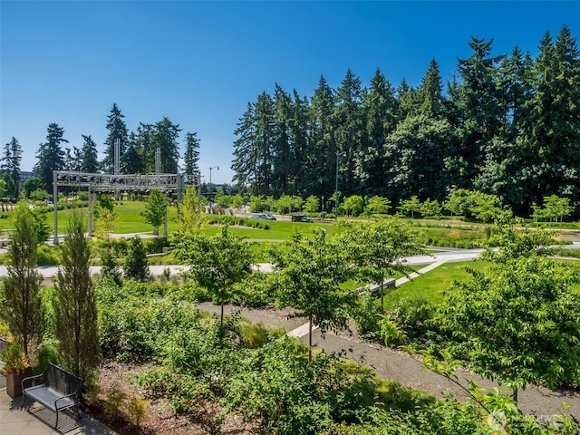 16141 Cleveland St Unit 611, Redmond, WA 98052 - view of property's community