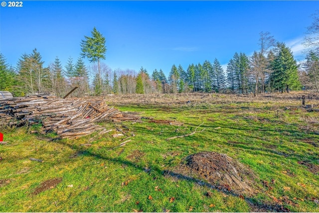 381 Panda Rd, Washougal, WA 98671 - photo 26