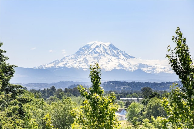 3827 90th Ave E, Edgewood, WA 98371 - view of mountain background with a forest