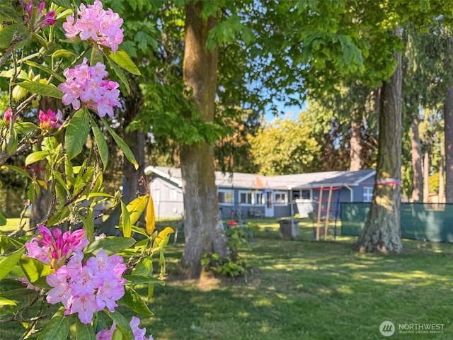 81 Robbins Rd, Sequim, WA 98382 - view of yard