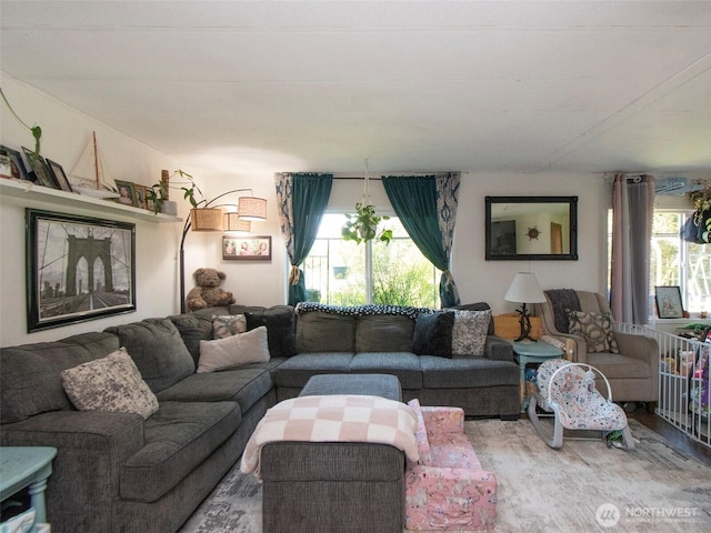 81 Robbins Rd, Sequim, WA 98382 - living room featuring plenty of natural light and wood finished floors