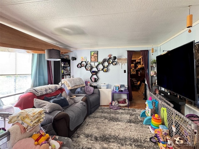 81 Robbins Rd, Sequim, WA 98382 - living room featuring a textured ceiling