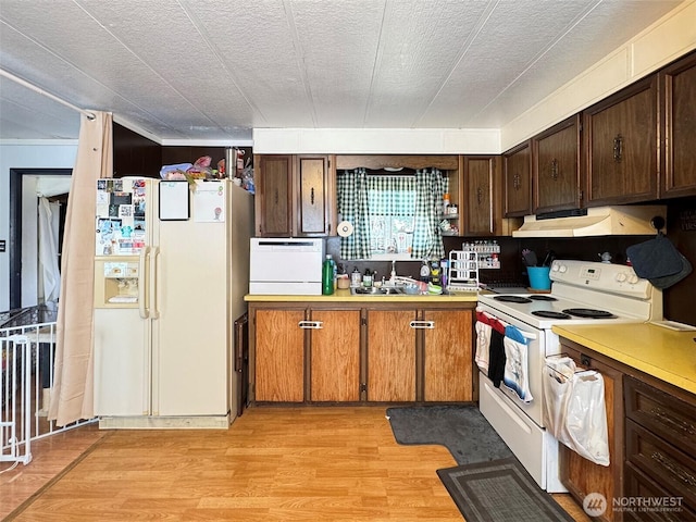 81 Robbins Rd, Sequim, WA 98382 - kitchen with white appliances, light wood-type flooring, under cabinet range hood, and light countertops