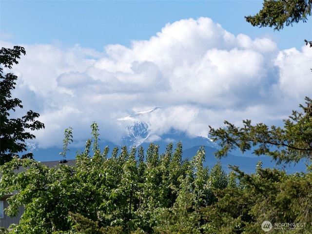 81 Robbins Rd, Sequim, WA 98382 - view of nature