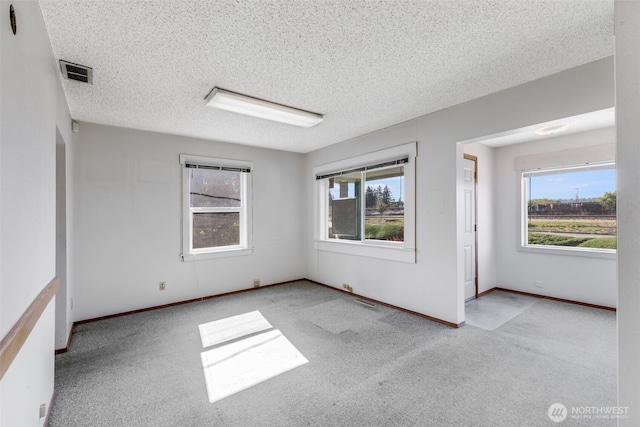 1023 W Stewart Ave, Puyallup, WA 98371 - empty room featuring carpet, healthy amount of natural light, a textured ceiling, and baseboards