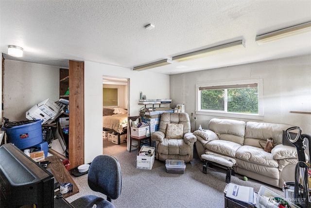 1023 W Stewart Ave, Puyallup, WA 98371 - carpeted living room with a textured ceiling