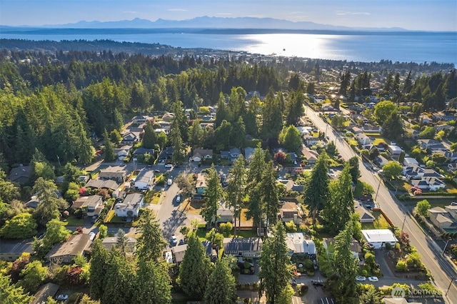 8724 Main St, Edmonds, WA 98026 - aerial overview of property's location featuring nearby suburban area, a water and mountain view, and a forest