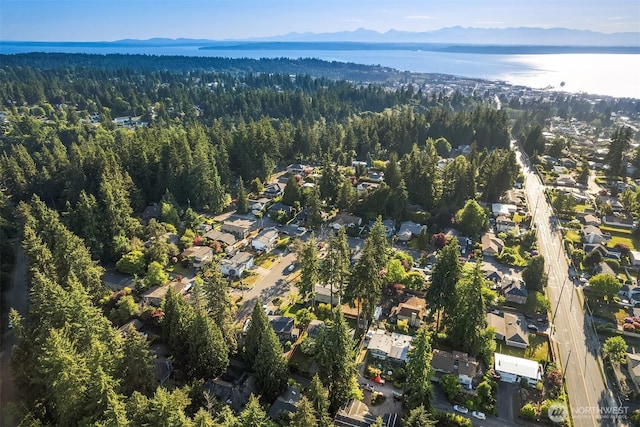 8724 Main St, Edmonds, WA 98026 - aerial overview of property's location with a forest, nearby suburban area, and a water and mountain view