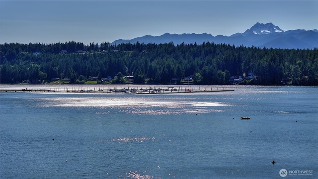 14730 Seabeck Hwy NW, Seabeck, WA 98380 - photo 27