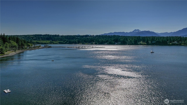 14730 Seabeck Hwy NW, Seabeck, WA 98380 - photo 28