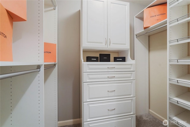 13374 SE 308th Ct, Auburn, WA 98092 - walk in closet featuring carpet floors