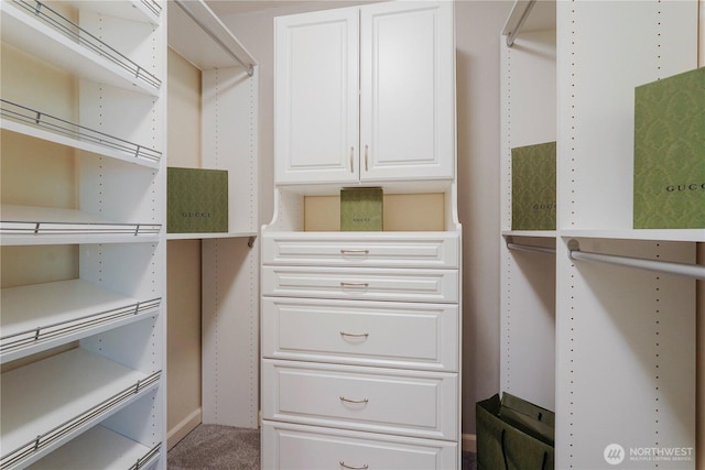 13374 SE 308th Ct, Auburn, WA 98092 - spacious closet featuring carpet flooring