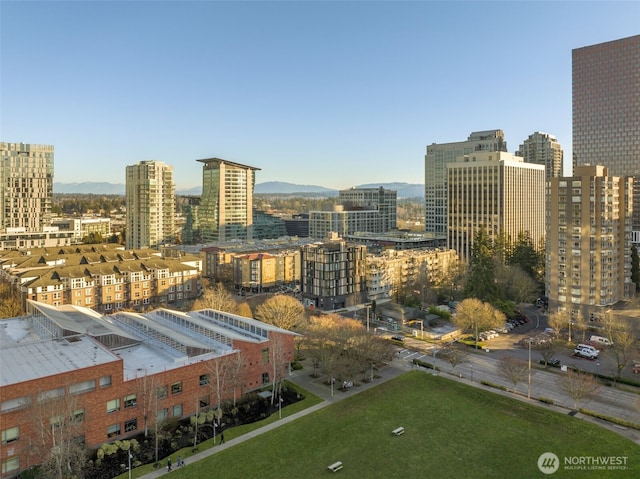 999 110th Ave NE Unit 202, Bellevue, WA 98004 - city view