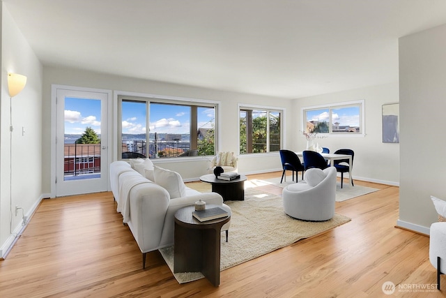 330 W Olympic Pl Unit 302, Seattle, WA 98119 - living room featuring light wood-style flooring and baseboards