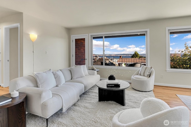 330 W Olympic Pl Unit 302, Seattle, WA 98119 - living area with wood finished floors, healthy amount of natural light, and baseboards