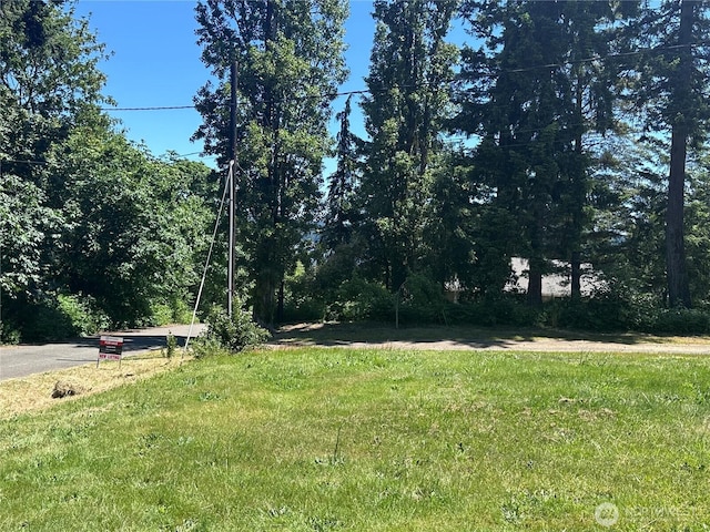 4495 NW Newberry, Bremerton, WA 98312 - photo 9