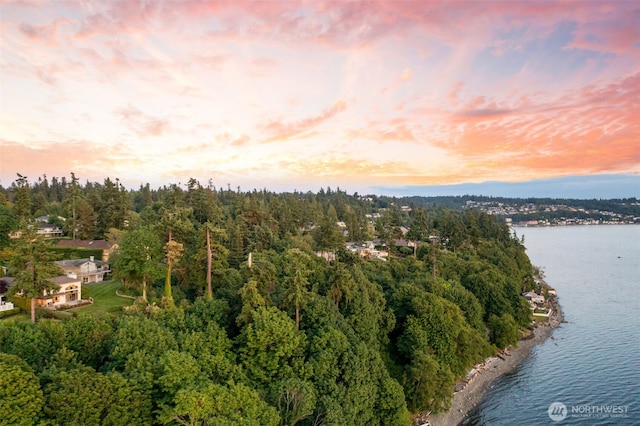 26045 Marine View Dr S, Des Moines, WA 98198 - aerial view at dusk of a water view and a forest view