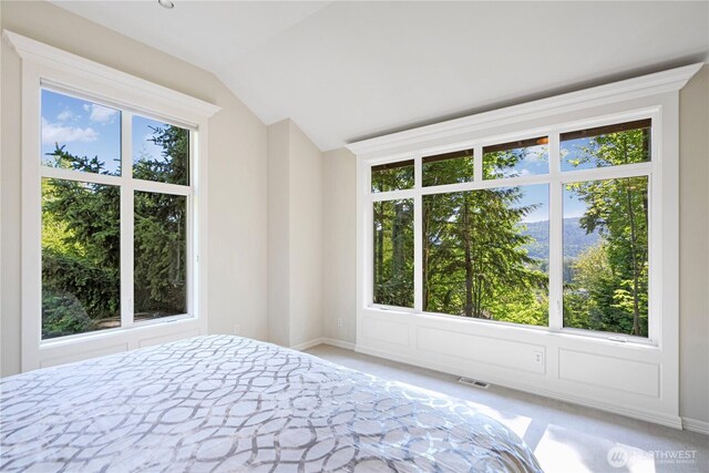 5339 228th Ave SE, Issaquah, WA 98029 - photo 21