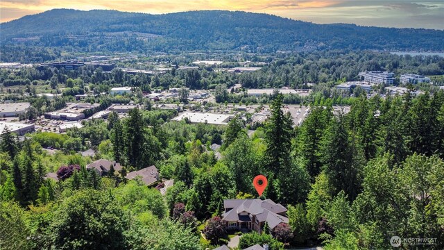 5339 228th Ave SE, Issaquah, WA 98029 - photo 38