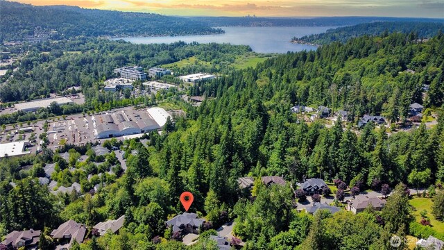 5339 228th Ave SE, Issaquah, WA 98029 - photo 39