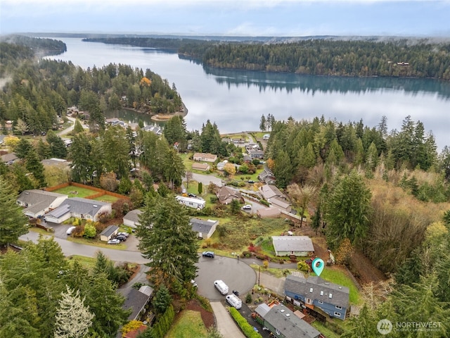 110 E Sea Breeze Dr, Grapeview, WA 98546 - aerial view of property and surrounding area with a heavily wooded area and a large body of water