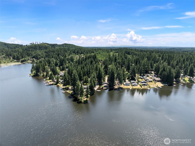 268 Kingsway W, Bremerton, WA 98312 - aerial view of a heavily wooded area and a nearby body of water