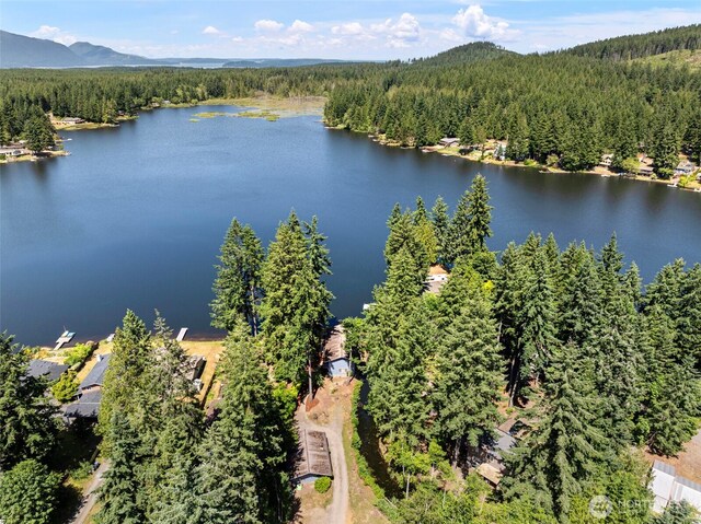 268 Kingsway W, Bremerton, WA 98312 - drone / aerial view of a water and mountain view