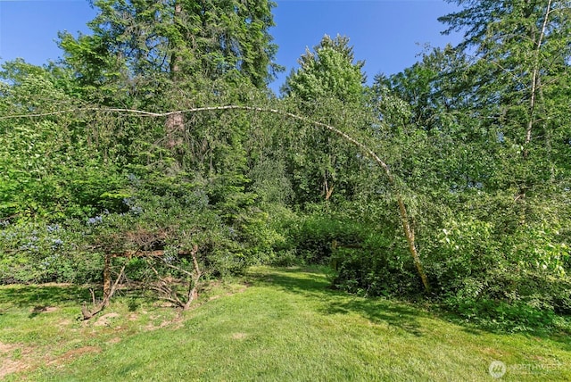 34821 NE Gable Ave, La Center, WA 98629 - view of tree filled area