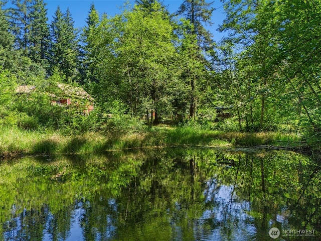 34821 NE Gable Ave, La Center, WA 98629 - water view with a forest