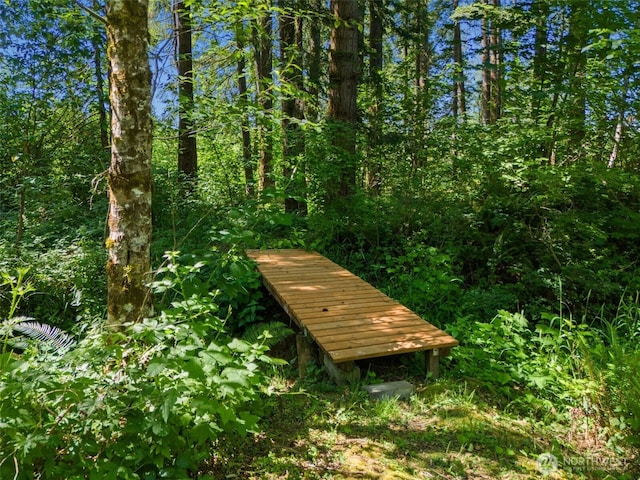 34821 NE Gable Ave, La Center, WA 98629 - surrounding community featuring a view of trees