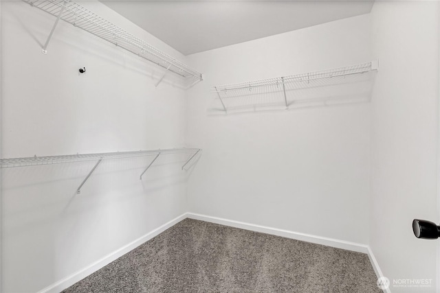 20610 6th Avenue Ct E, Spanaway, WA 98387 - spacious closet with carpet
