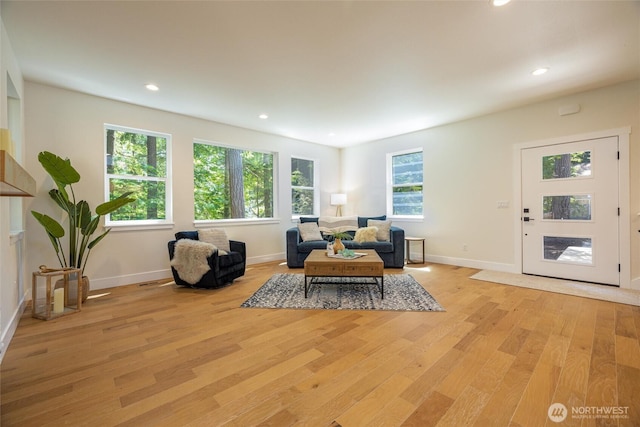 11 Kinglet Ct, Bellingham, WA 98229 - living room with light wood finished floors, recessed lighting, and baseboards