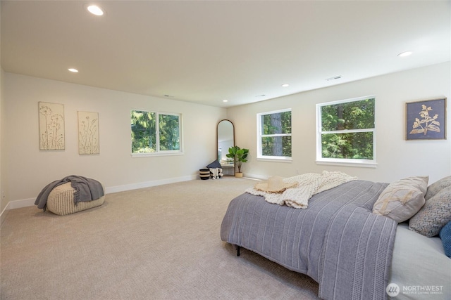 11 Kinglet Ct, Bellingham, WA 98229 - bedroom featuring carpet floors, recessed lighting, and baseboards