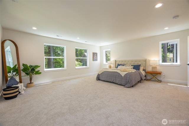 11 Kinglet Ct, Bellingham, WA 98229 - carpeted bedroom with baseboards and recessed lighting