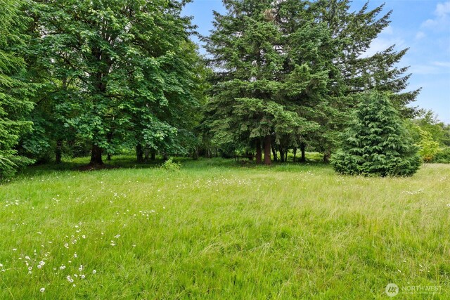 1201 8th St, Vader, WA 98593 - view of yard