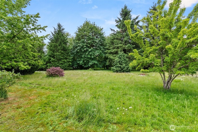 1201 8th St, Vader, WA 98593 - view of yard