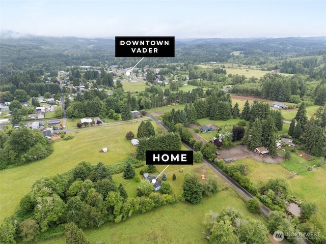 1201 8th St, Vader, WA 98593 - overview of rural landscape