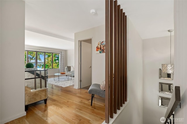 2019 Killarney Way, Bellevue, WA 98004 - hall with light wood-style floors