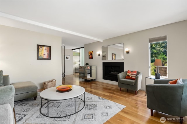 2019 Killarney Way, Bellevue, WA 98004 - living area with light wood-type flooring and a fireplace