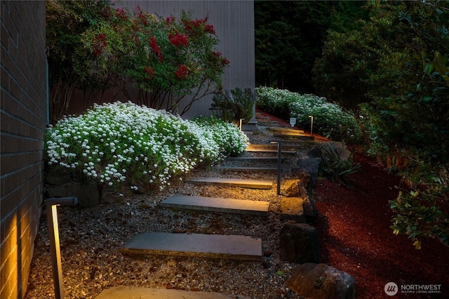 2019 Killarney Way, Bellevue, WA 98004 - view of yard
