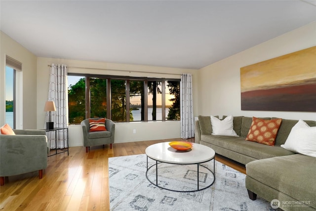 2019 Killarney Way, Bellevue, WA 98004 - living room with wood finished floors