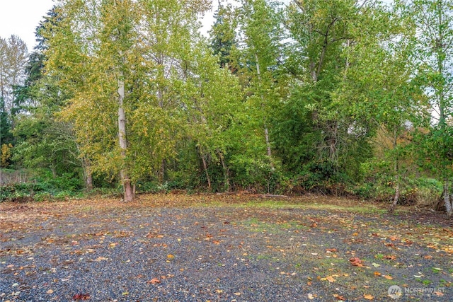 11101 Bingham Ave E, Tacoma, WA 98446 - view of yard with a forest view