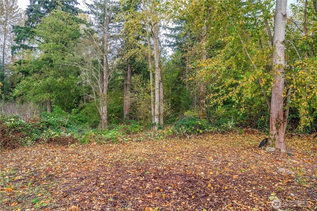 11101 Bingham Ave E, Tacoma, WA 98446 - view of tree filled area