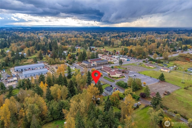 11101 Bingham Ave E, Tacoma, WA 98446 - drone / aerial view of a heavily wooded area