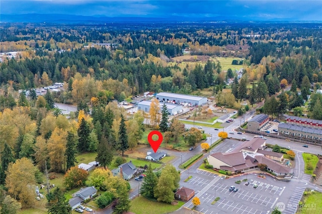 11101 Bingham Ave E, Tacoma, WA 98446 - aerial view of property and surrounding area with a forest