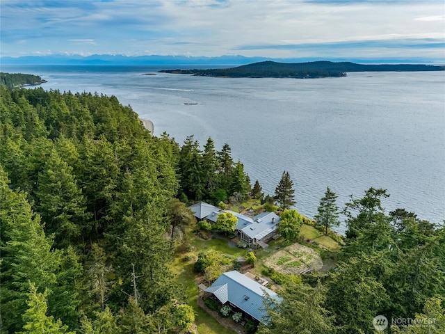 317 Eagles Roost Ln, Lopez Island, WA 98261 - bird's eye view of a water and mountain view