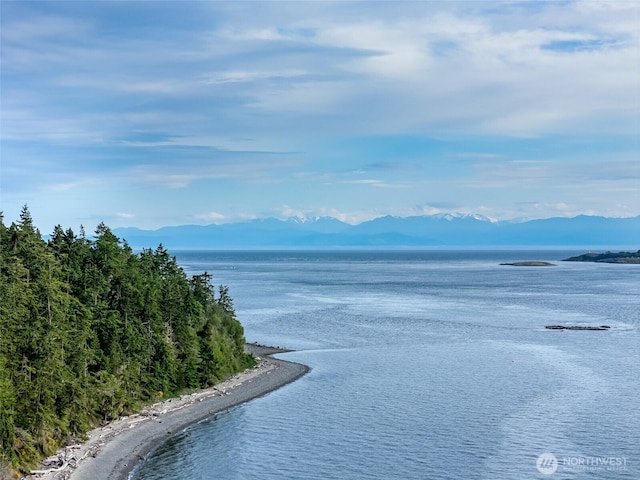 317 Eagles Roost Ln, Lopez Island, WA 98261 - water view featuring a mountainous background