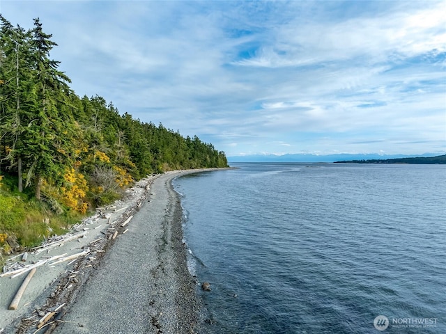 317 Eagles Roost Ln, Lopez Island, WA 98261 - water view with mountains